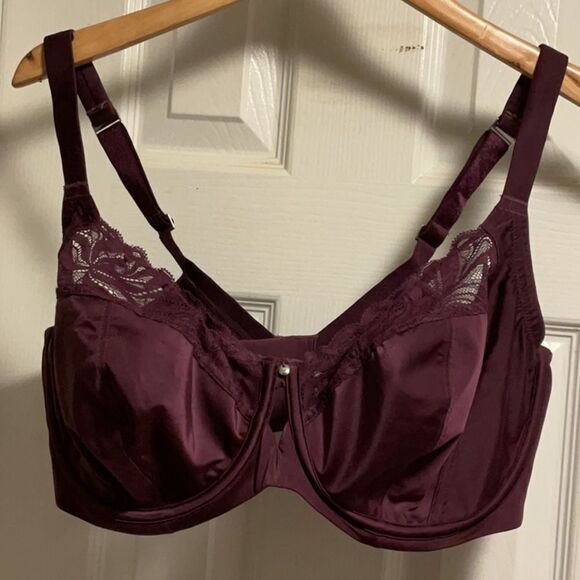 Bare Necessities plum bras sz. 40 G - Picture 1 of 5